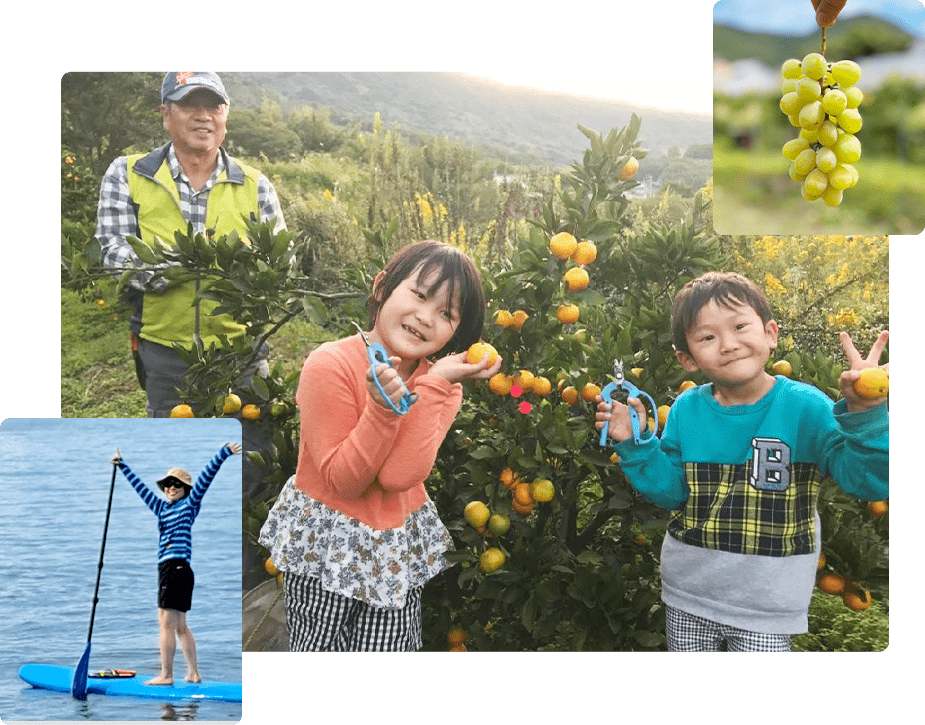 遊ぶ・体験する
